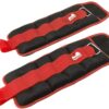 616ukXt5ipL._AC_SL1000_ Reehut Ankle Weights Wrist Weight (1 Pair) 1 lb