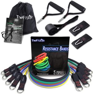TheFitLife Exercise Resistance Band Set