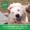 Greenies Dental Dog Treats - Teenie - 12oz
