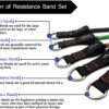 TheFitLife Exercise Resistance Band Set